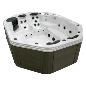 Signature Spas Cadillac 2